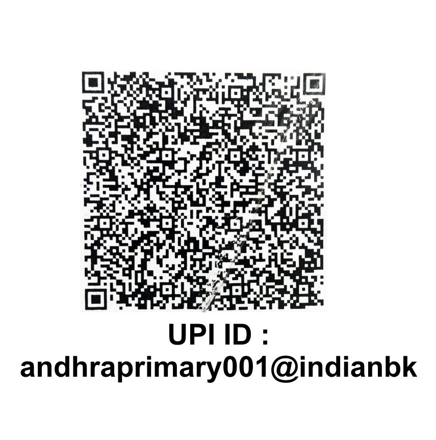 Primary Section QR Code